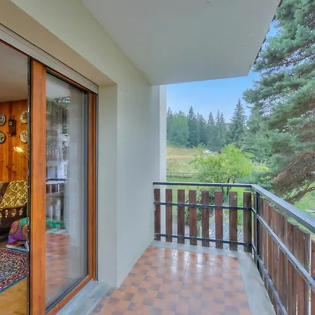 7 Mountain View - Happy Daire